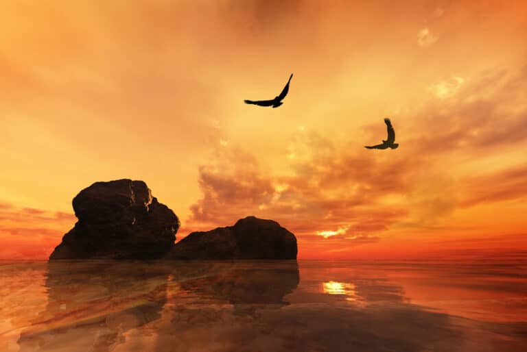 Eagles,Flying,Over,Rocks,With,A,Beautiful,Orange,Sunset