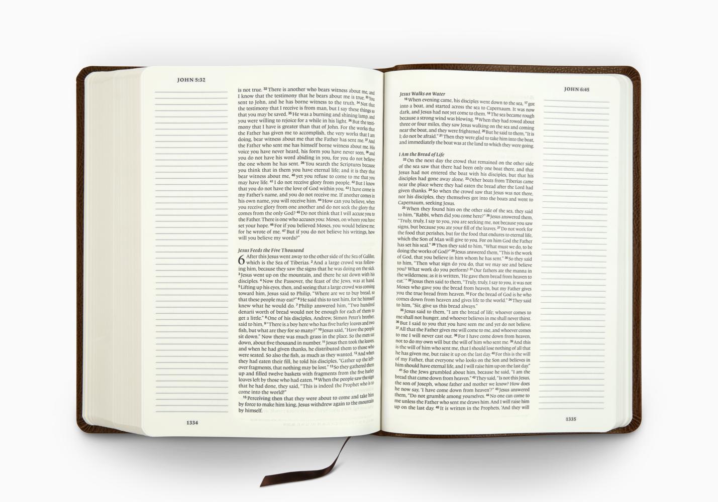 ESV large print journaling bible