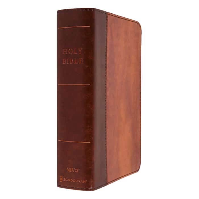 NIV giant print compact Bible