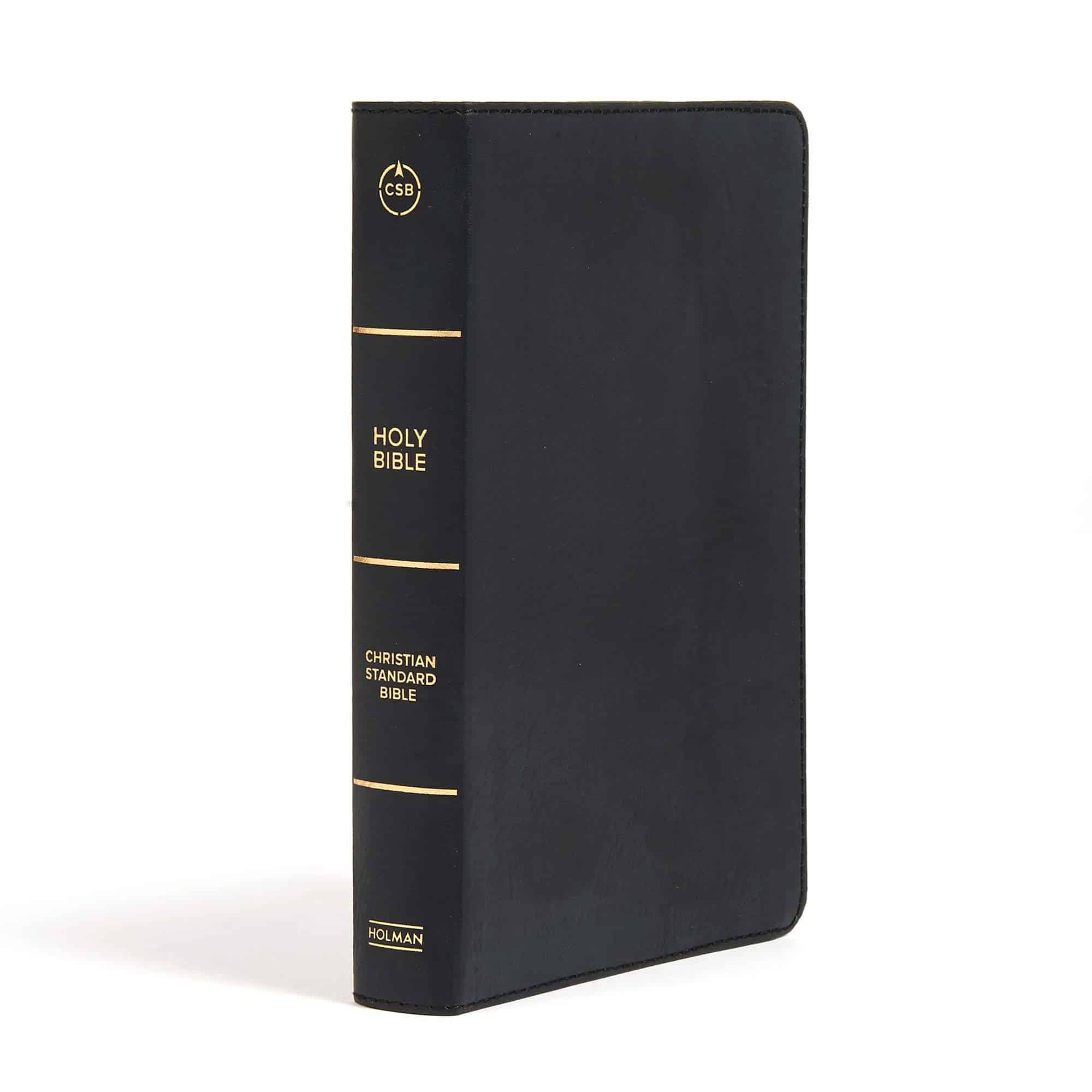 csb large print personal size reference bible