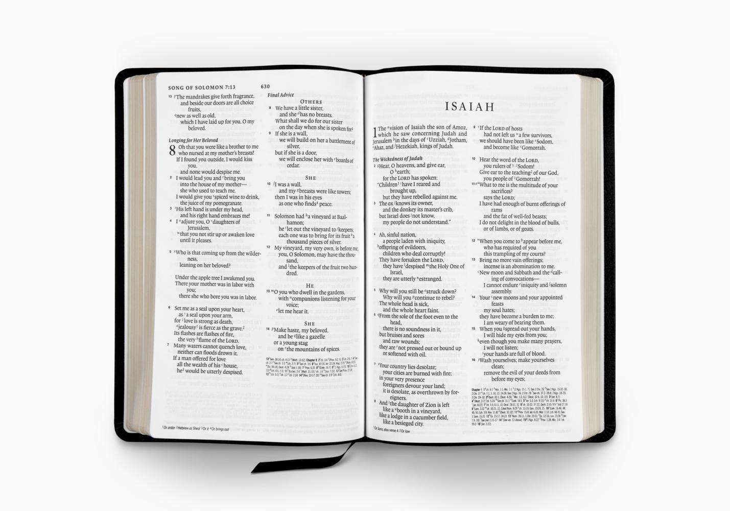 esv large print thinline reference bible