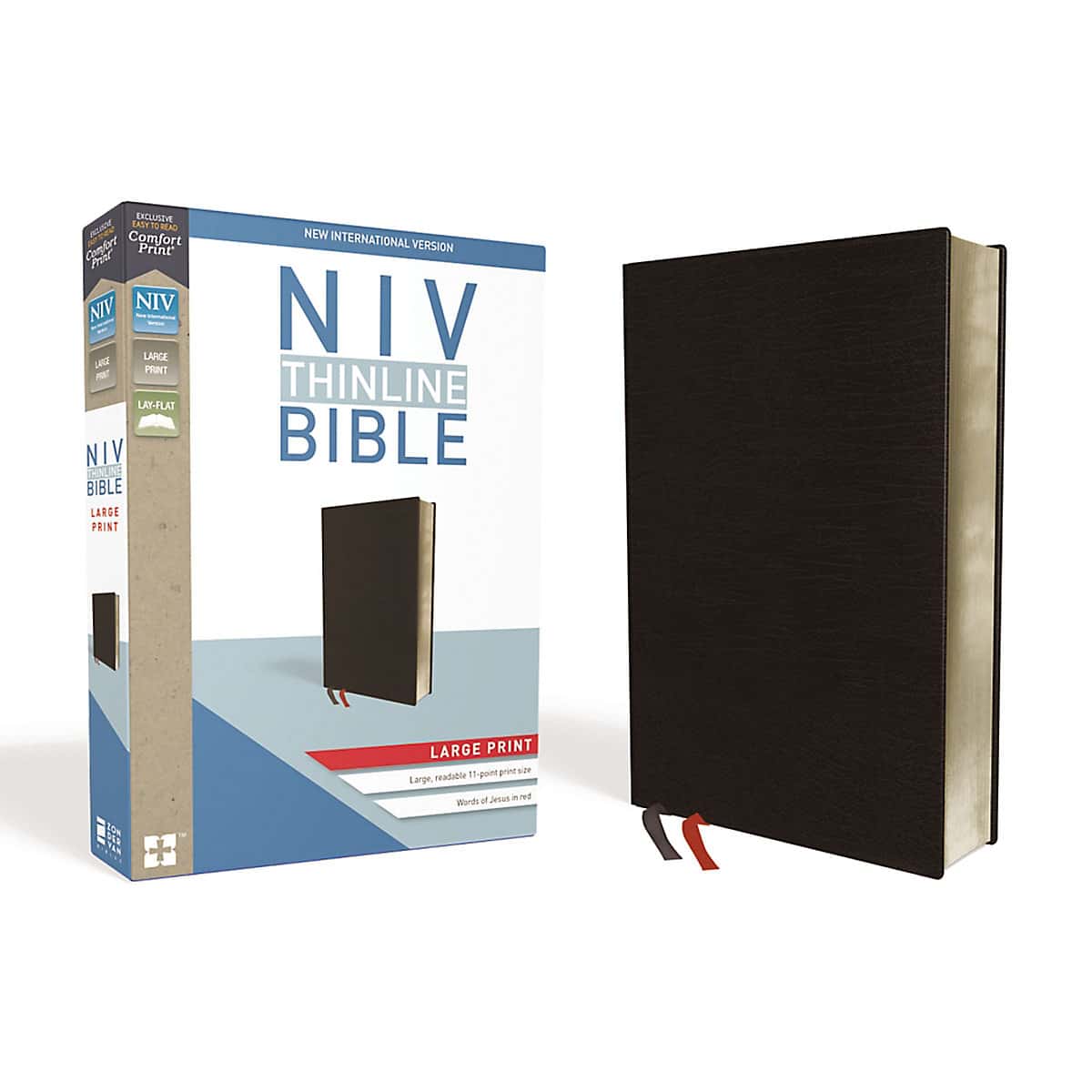 Niv large print thinline bible
