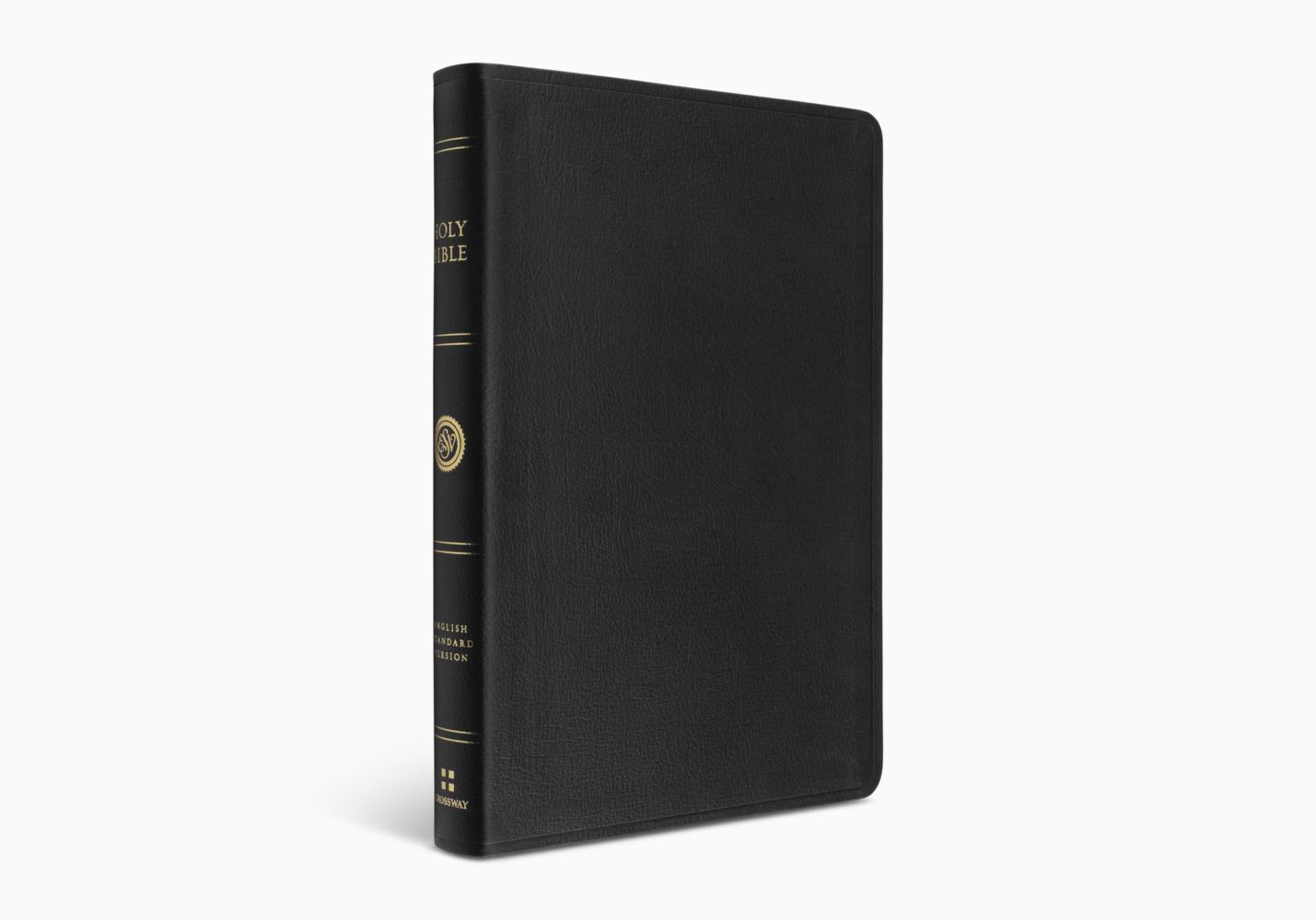 esv large print thinline reference bible