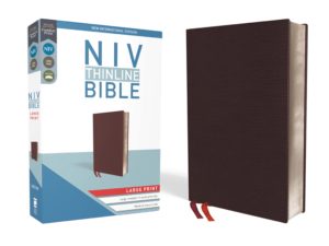 NIV Large Print Thinline Bible Burgundy