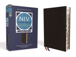 NIV Large print Study Bible indexed