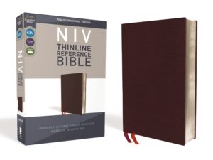 NIV Thinline Reference Bible Imitation Leather