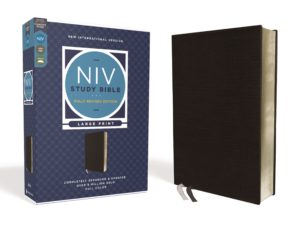 NIV Large Print Study Bible Imitation Leather