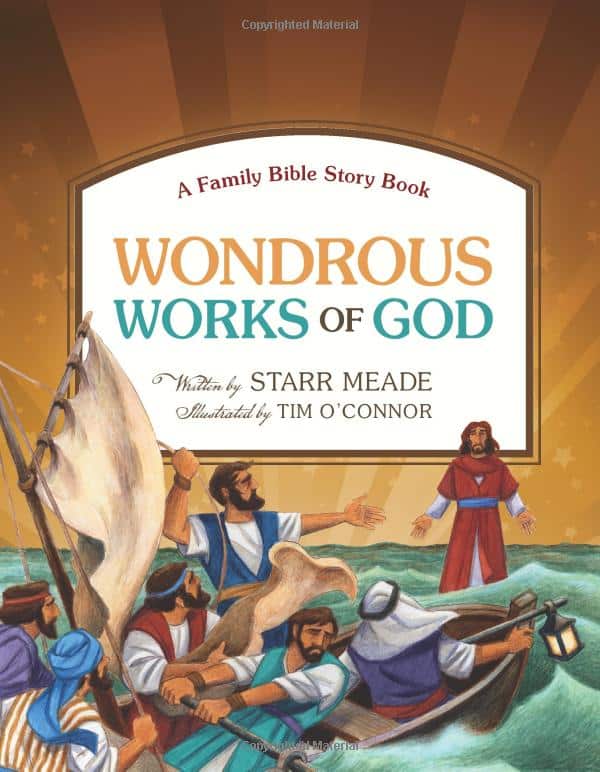 Wondrous Works of God: A Family Bible Storybook